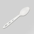 Abide - Bioplastic Compostable Spoons, Individually Wrapped (Case of 750)