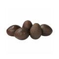 Avocado (5 Count)