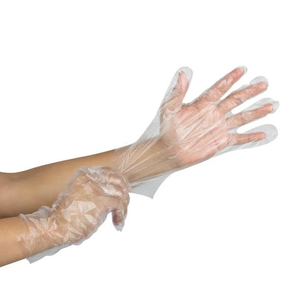 Karat - Clear Poly Gloves, Large (500 Count)