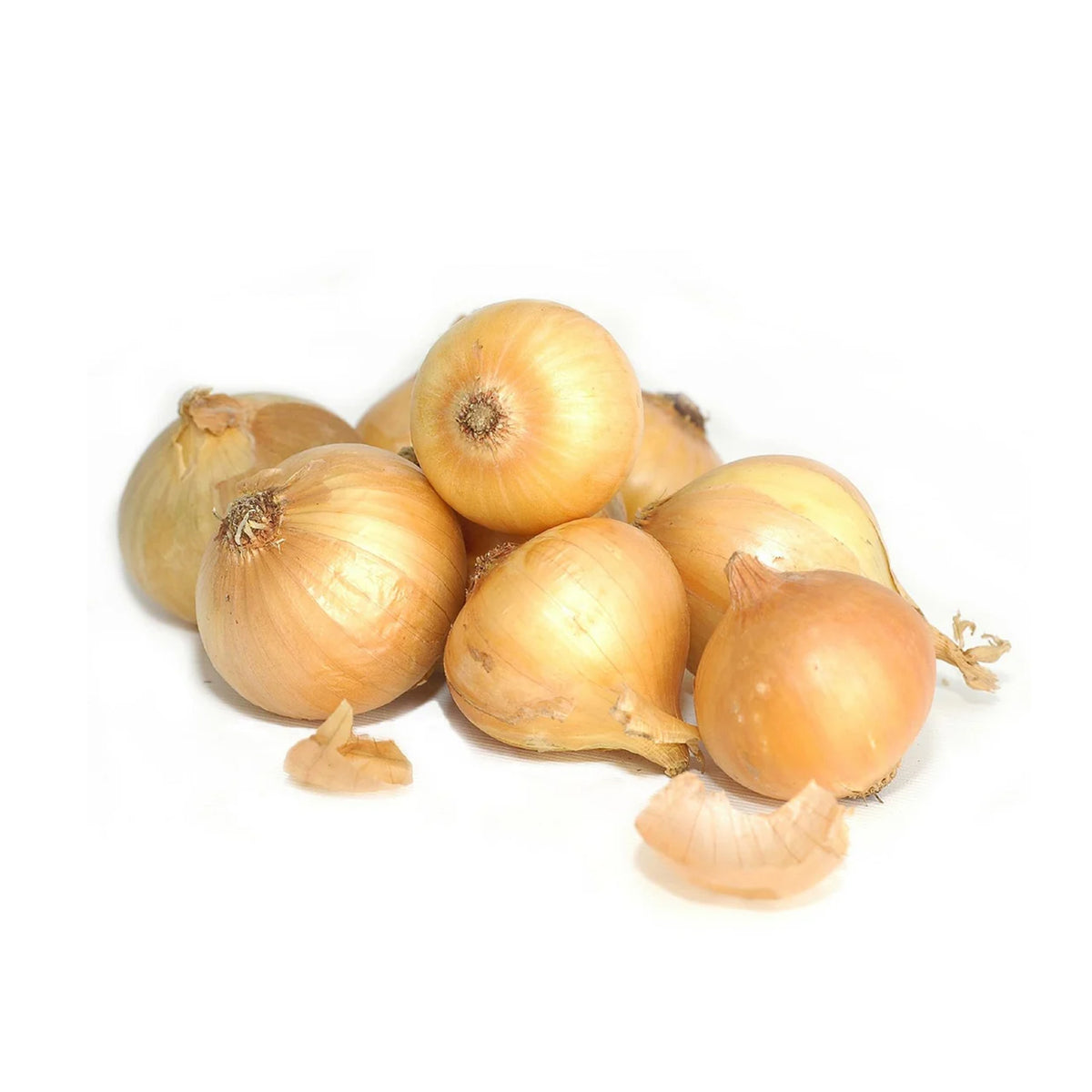 Onion - Bag 6 lb